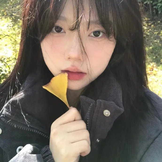 爱民村官